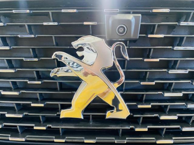Peugeot 5008 image 1