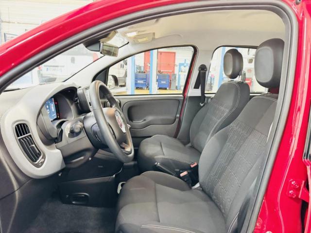 Fiat Panda image 6