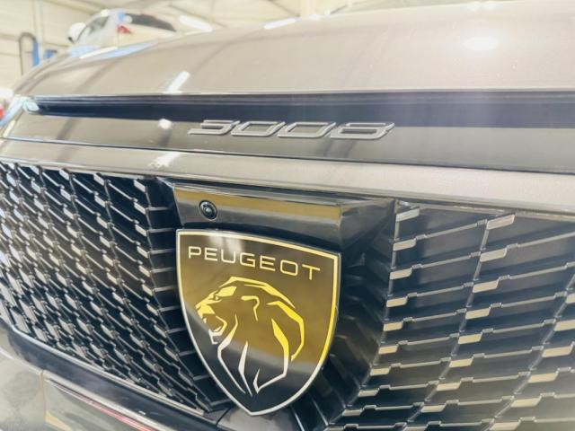 Peugeot 3008 image 1