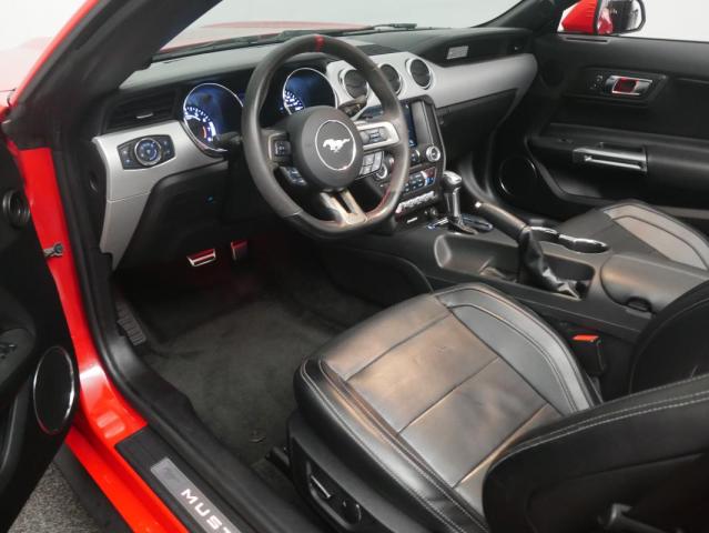 Ford Mustang Convertible image 8