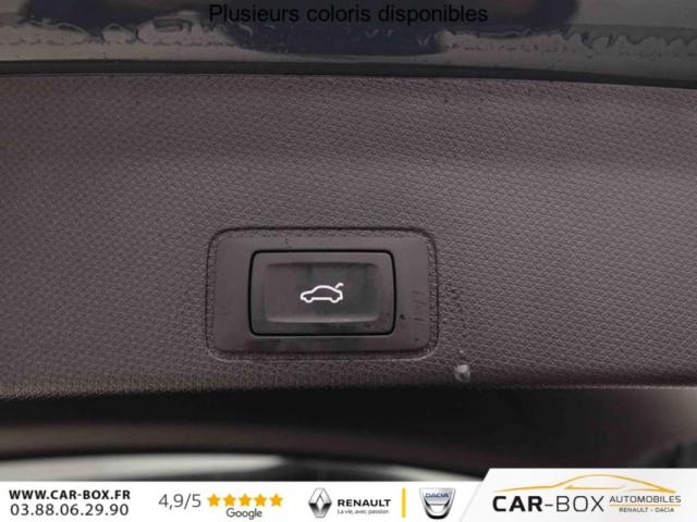 Cupra Terramar image 6