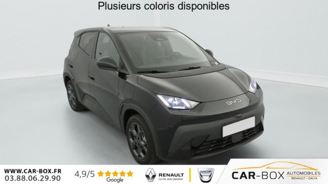 Byd Dolphin Surf 43.2 Kwh 156 Ch Comfort