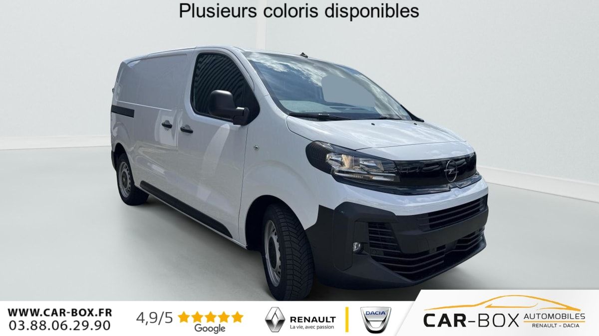 Opel Vivaro à Oberhoffen Sur Moder – photo 1