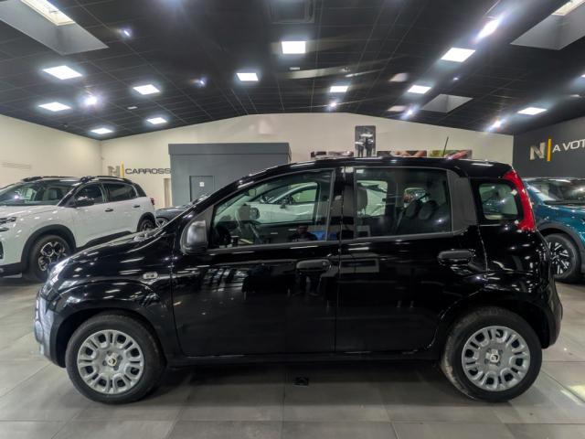 Fiat Panda image 8