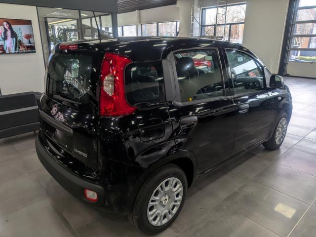 Fiat Panda image 3