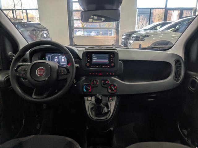 Fiat Panda image 6