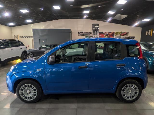 Fiat Panda image 6