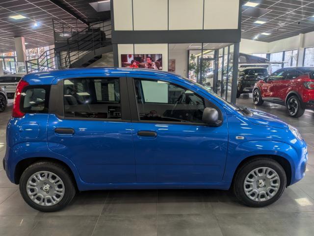 Fiat Panda image 1
