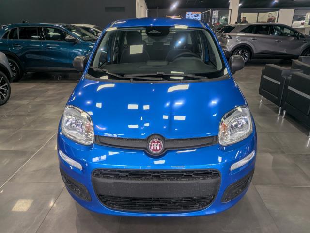 Fiat Panda image 7
