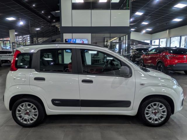Fiat Panda image 3