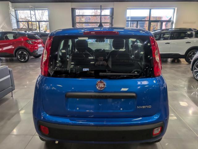 Fiat Panda image 1
