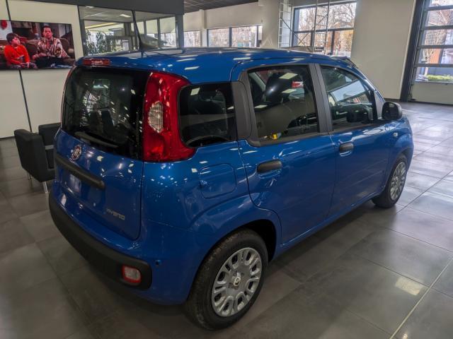 Fiat Panda image 9