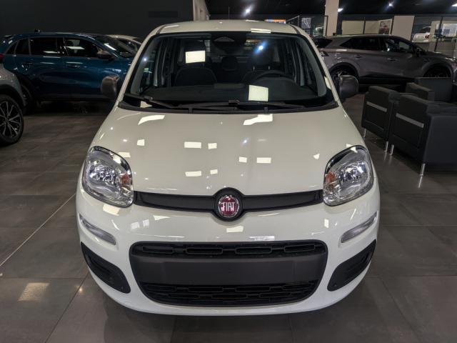 Fiat Panda image 3