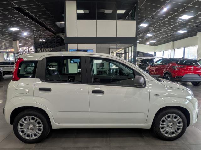 Fiat Panda image 2