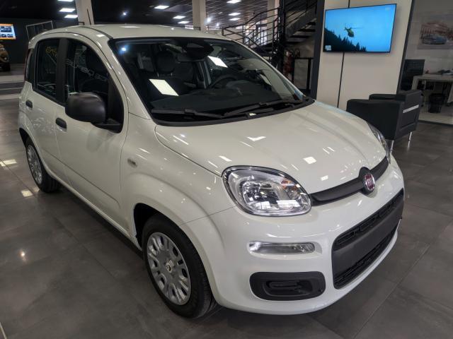 Fiat Panda image 1