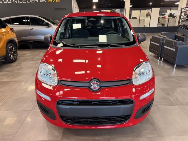 Fiat Panda image 5