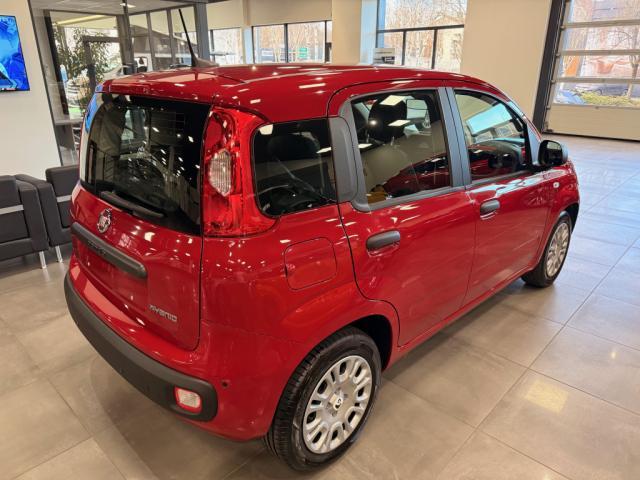 Fiat Panda image 2
