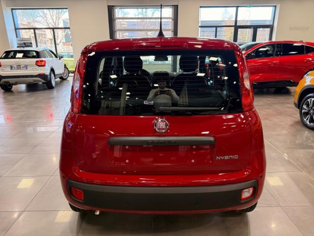 Fiat Panda image 3