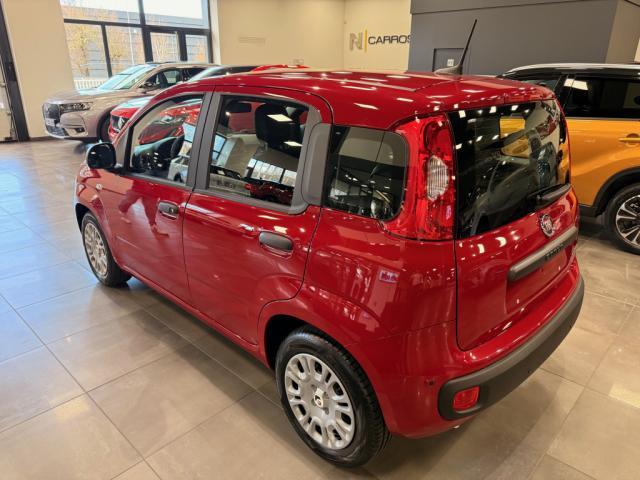 Fiat Panda image 8
