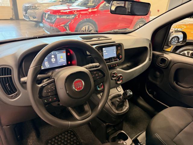 Fiat Panda image 6