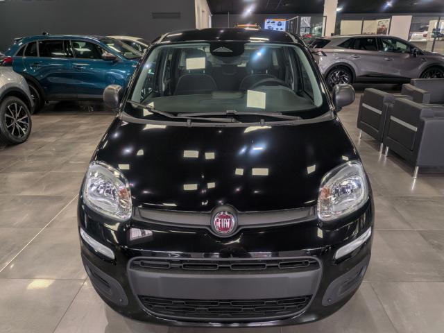 Fiat Panda image 8