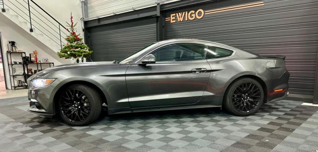 Mustang image 7