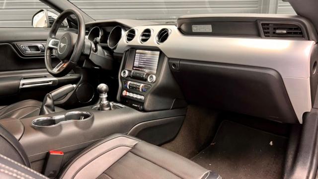 Ford Mustang image 4