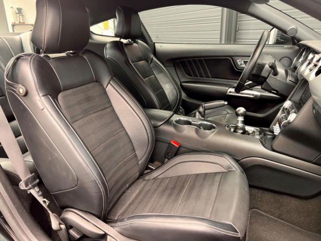 Ford Mustang image 2