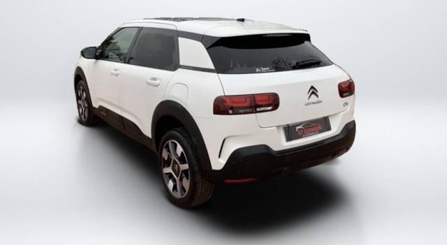 C4 Cactus image 3