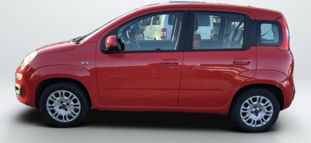 Fiat Panda image 6