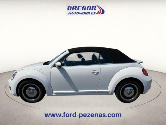Volkswagen Beetle image 5
