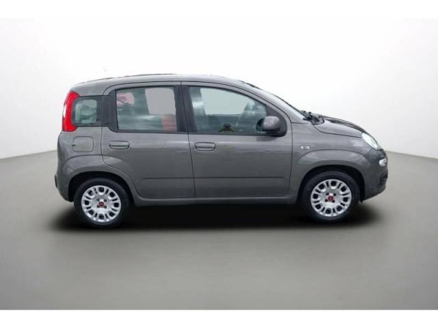 Fiat Panda image 1