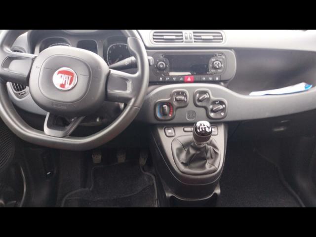 Fiat Panda image 6