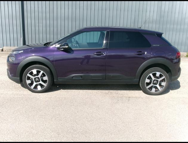Citroen C4 Cactus image 2