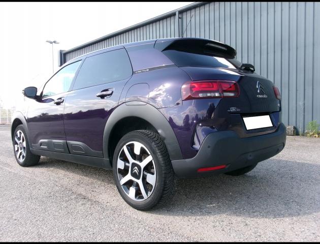 Citroen C4 Cactus image 9