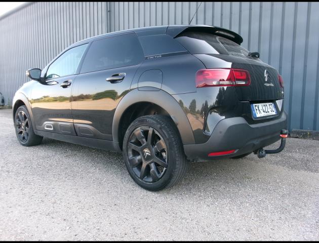 Citroen C4 Cactus image 8