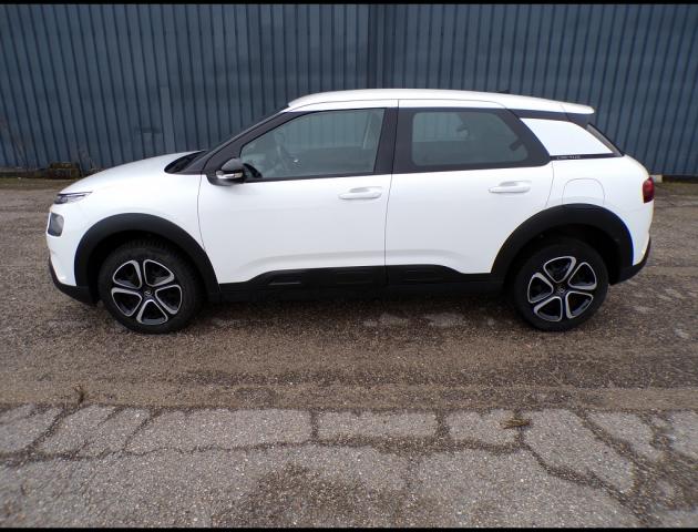 Citroen C4 Cactus image 1