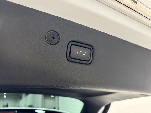 Kia Sportage image 3