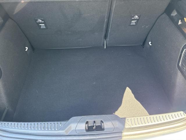 Ford Focus image 1