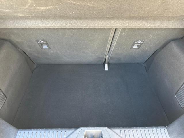 Ford Fiesta image 7