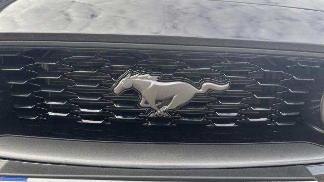 Ford Mustang image 7