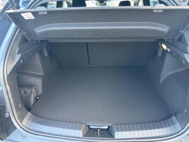 Dacia Duster image 1