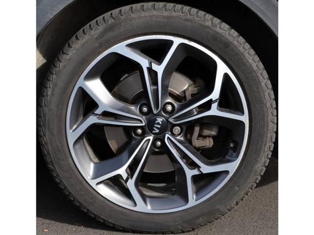 Kia Sportage image 5