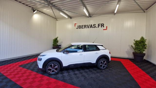 Citroen C4 Cactus image 4