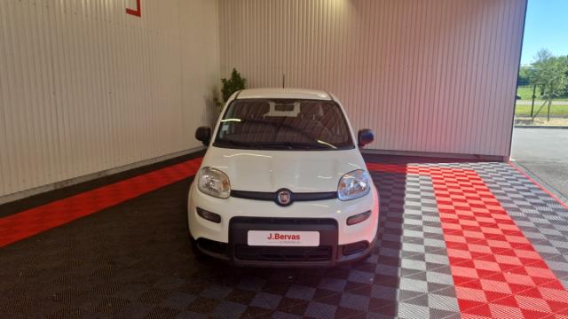 Fiat Panda image 3