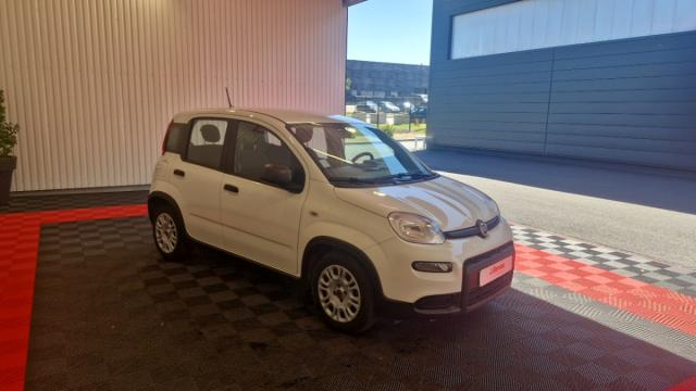 Fiat Panda image 6