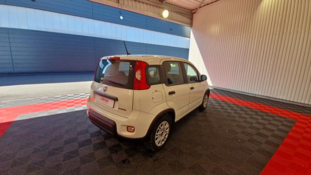 Fiat Panda image 2