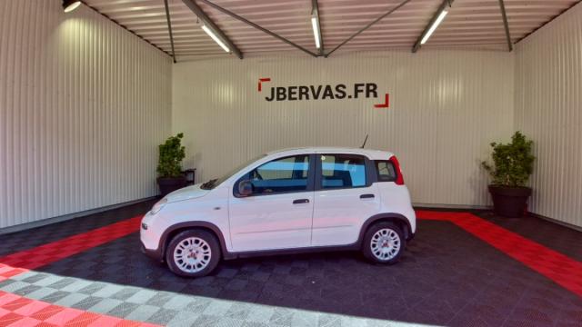 Fiat Panda image 4