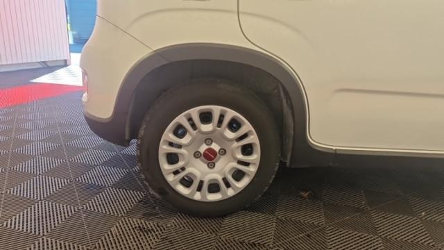 Fiat Panda image 8