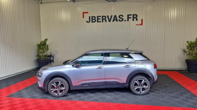 Citroen C4 Cactus image 5